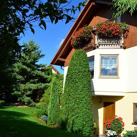Ferienwohnung Sonnenblick بيشوفسفيردا المظهر الخارجي الصورة